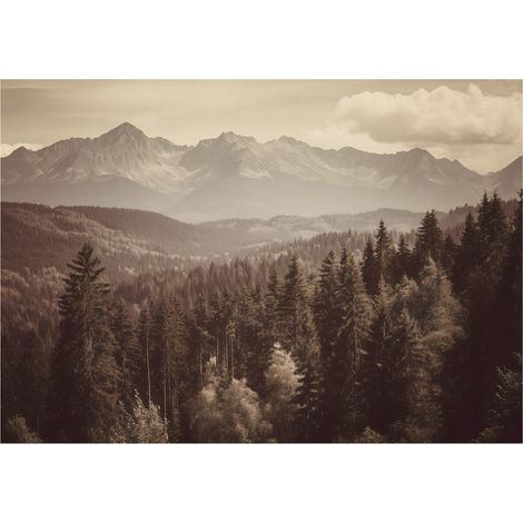 Papier peint mural forêt montagnes paysage intissé grand format design intérieur salon chambre pas cher 150x105 cm (1/5)
