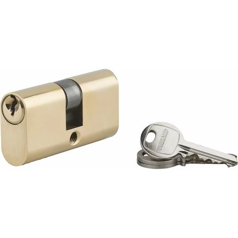 Thirard – Cylindre de serrure double entrée ovale 28x28mm – Laiton anti-arrachement – 3 clés – 5 goupilles pour sécurité renforcée