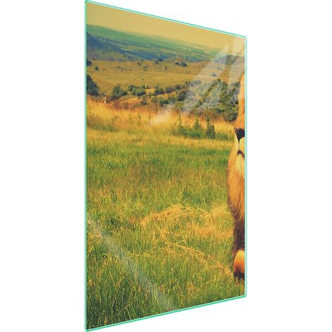 TAGLIERE IN VETRO 35x52 Leone (1/5)
