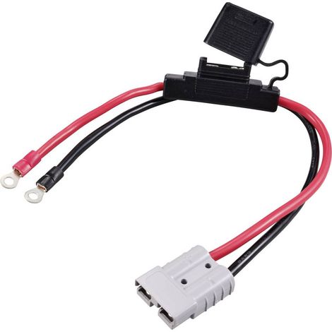 Spina ad alta corrente su capicorda ad occhiello M6, con supporto fusibile TC-12195704 Nero, Rosso TRU COMPONENTS Conte (1/3)