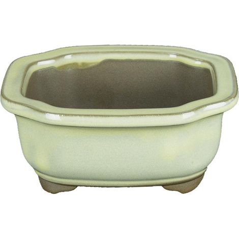 Vaso per bonsai Giapponese Morrisan rettangolare in gres smaltato bianco 12,5x10,5x5,5 cm - B05-10b
