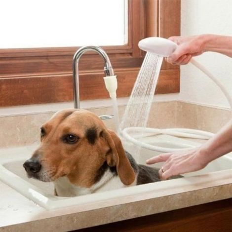 Douchette Pour Lavabo - Tuyau 1,1 M - Compatible Robinet 25 Mm - Pour Chien Chat Animal Domestique - 1 Pièce (1/4)