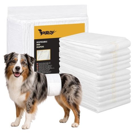 Dog Diapers, Absorbent, ML Size, 12 Pack, 46-60 cm (1/5)