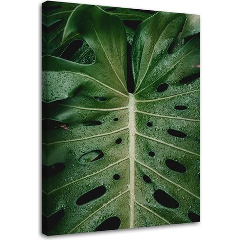 Tableau sur toile Monstera Feuilles Tropiques 40x60 (1/5)