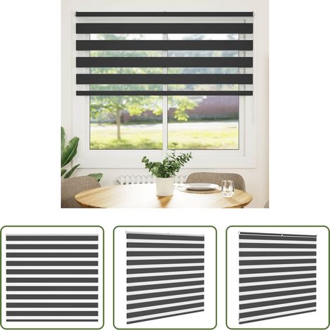 vidaXL Sonnenschutz -  Doppelrollo Schwarz 155x100 cm Stoffbreite 150,9 cm Polyester (1/5)