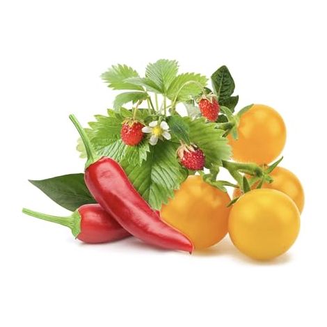 CLICK AND GROW SMART LOT DE 9 POTS DE FRUITS ET LÉGUMES PPMFVX9