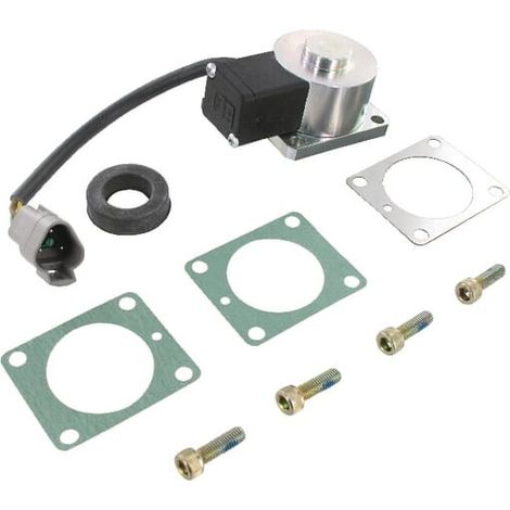 Im谩n de v谩lvula 12 V HATZ 01660911