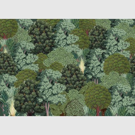 Papier peint intissé - Forêt vu du ciel - 375x270 cm