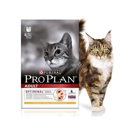 Croquettes PRO PLAN Chat Adulte Poulet : 1,5 kg (1/3)