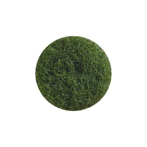 PAD - Carton de 5 disques de nettoyage diamètre 406 vert - 535181 - Ce produit de marque PAD est neuf.