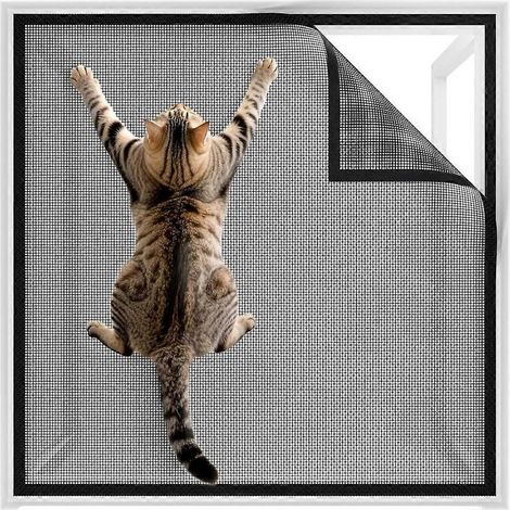 Moustiquaire pour fenêtre, moustiquaire pour chat, sans perçage, filet pour chat, résistant aux griffures, stable pour toutes les fenêtres intérieures et les puits de lumière (1/5)