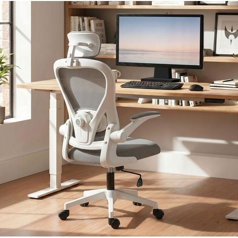 Sedia da ufficio ergonomica grigia con supporto lombare e braccioli ribaltabili OKMYHOME (1/5)