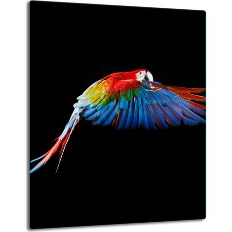 PIASTRA DI PROTEZIONE IN VETRO PER INDUZIONE 40x52 PARROT (1/5)