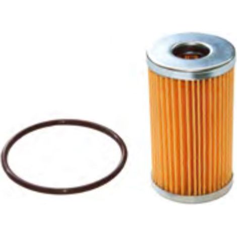 Filtro gasolio motore Ruggerini MC70, MC71, BRIO compatibile