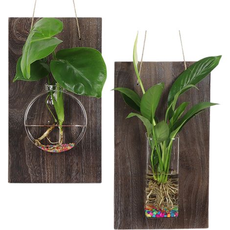 [Jardín hidropónico] Jarrones colgantes de vidrio con tablas de madera, 2 piezas – Tubos redondos y cuadrados – Decoración de pared natural (1/3)