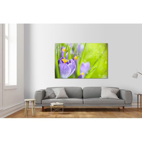 Fiori della Sorgente del Croco - Quadro Canvas su telaio in legno - Misura: 140x100 cm (1/4)