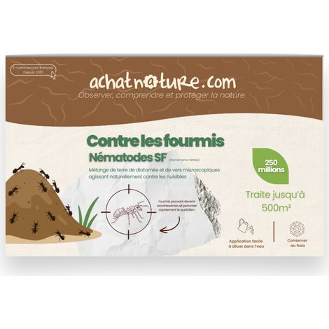 Nématodes SF contre fourmis - 250 millions - 500 m²