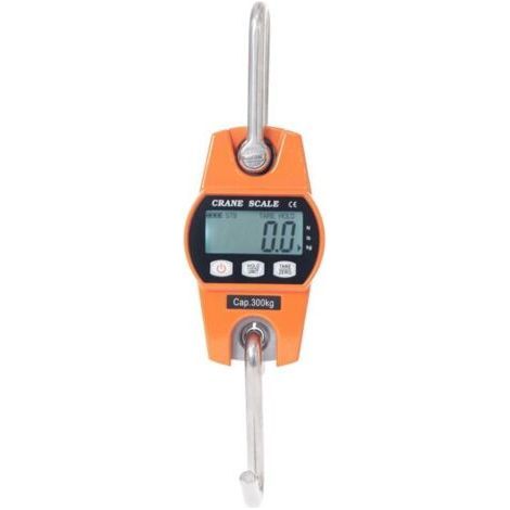 Balance Crochet Suspendu 300kg Peson Electronique LCD Industriel 300kg/600lbs (1/5)