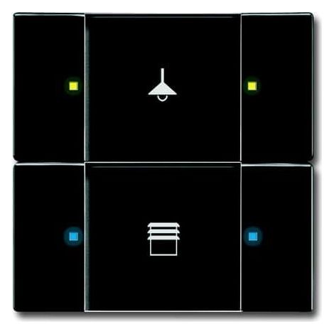 Poussoir 2 TouchesMultifonctions Anthracite 2CKA006116A0206 ABB 587247