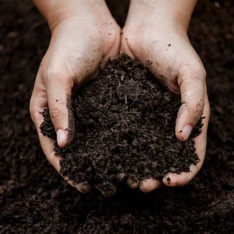 Bio Terra Mix Compost Eco Completo - Saco 15 L.