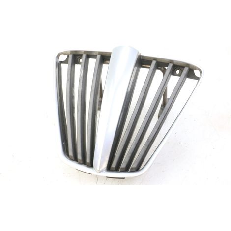 GRILLE RADIATEUR PIAGGIO MP3 250 2006 - 2010 (1/5)
