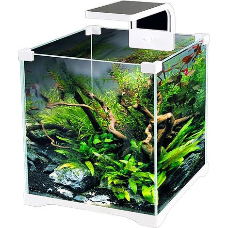 Kit aquarium SunSun O-LED Aqua - 15 l (1/5)
