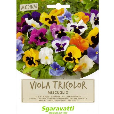 SEMI PER PRATO UNIVERSALE viola tricolor miscuglio