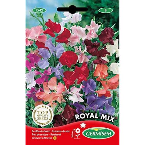 Graines de Pois Doux 4 g EC1542 Multicolore (1/2)