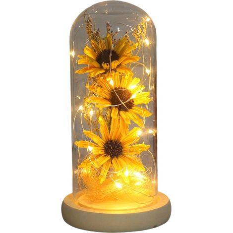 1 Lampe tournesol,LED intégré,cloche en verre,pile non incluse,décoration maison,fête (1/5)