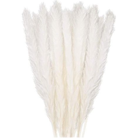 Dried Pampas Grass Decoration Set of 30, Decorative Flower Bouquet for Home Vase, Pampas Feather Grass 45cm Decorative Plant Decoration Table, Bedroom, Balcony, Wedding, Hotel, Beige(45cm) (1/4)