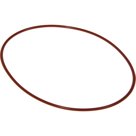 Delonghi guarnizione caldaia ferro da stiro PRO VVX 900 1000 1100 Stirella 408