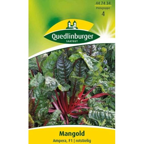 Quedlinburger Mangold Ampera  - Gemüsesamen (1/2)