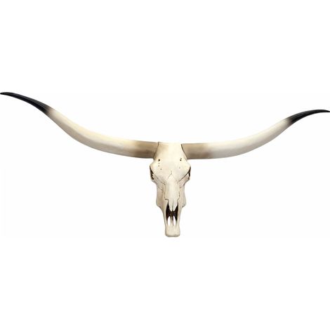 HHG – Crâne de décoration vache en polyresin – Trophée de taureau avec cornes – Résistant aux intempéries jusqu'à -10°C – Dimensions 103x43x11cm (1/5)