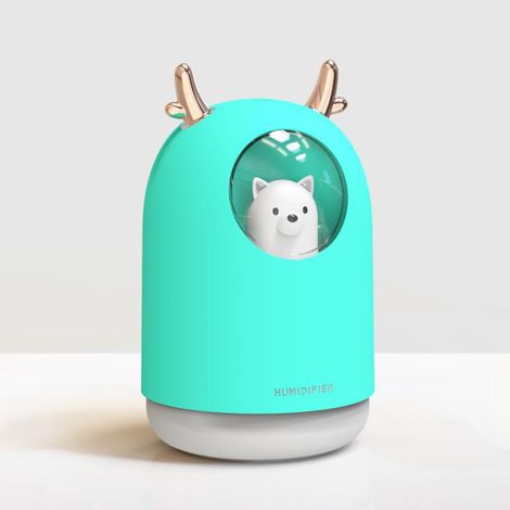 Humidificateur 300 ml LED, brume fraîche silencieuse chambre plantes (1/5)