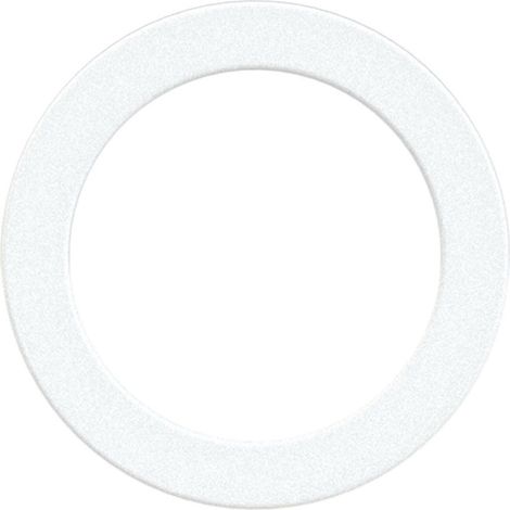 Riegler Dichtring aus Polyamid, für Gewinde G 3/8, VPE 100 Stk. 100 Stk