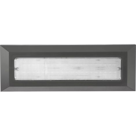 Merano Ferryland Applique Murale Extérieure Encastrée Gris Foncé ABS LED 4W 557Lm 3000K/4000K IP54 AC Driver Inclus