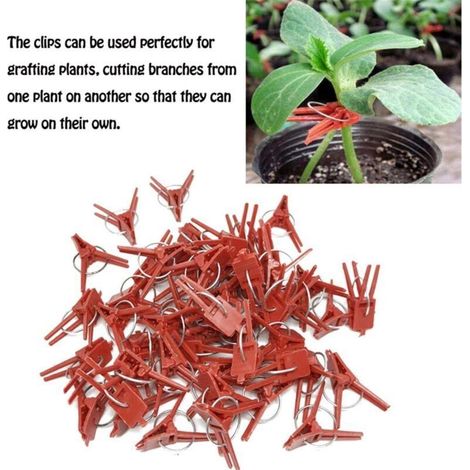 50 PCS Support De Plante Clips De Jardin Clips De Tomate Supporte/Connecte Plantes/Ficelle/Vignes Treillis/Cages Plante Vigne Légumes Clip De Fixation Outils De Greffage Faire La Plante Grandir (1/3)