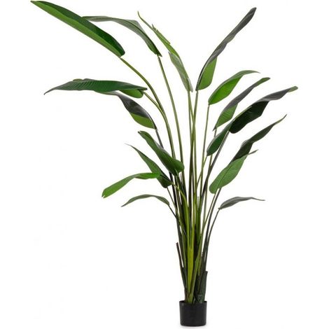 BIZZOTTO PIANTA ARTIFICIALE DA INTERNO STRELITZIA CON VASO 18 FOGLIE H310 CM (1/5)