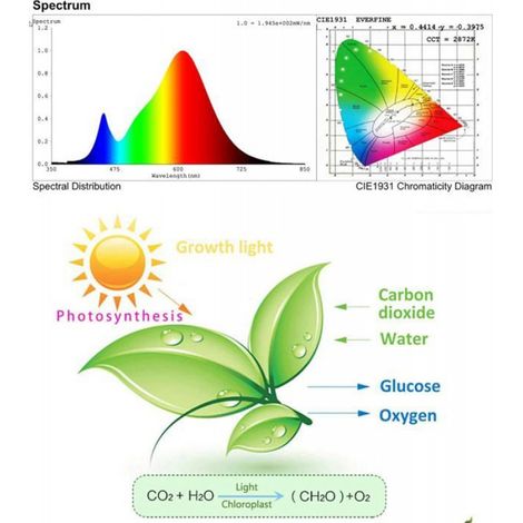 Lampe Horticole - LED Spectre Complet 100 W - Pour Semis Croissance et Floraison - Intérieur Serre Hydroponie - 1 Pièce (1/4)