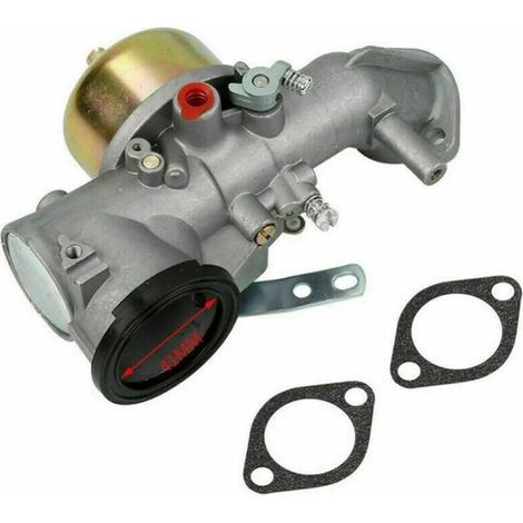Carburateur compatible Briggs Stratton 491026/281707/491031 12hp – Réservoir durable – Installation rapide – Économie de carburant (1/4)