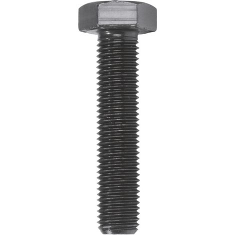 Ruko Vis de rechange MF 12 x 1,5 x 55 (1/2)