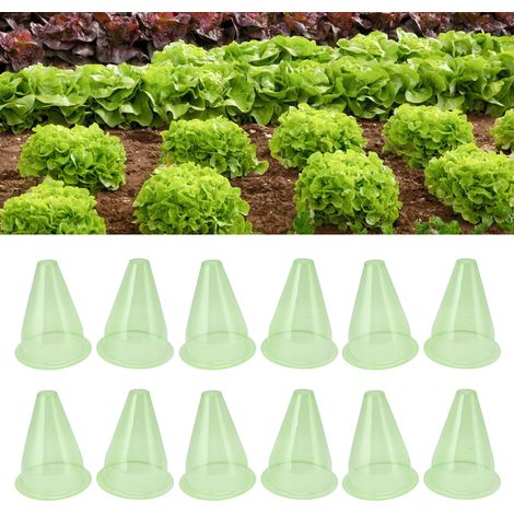 12 campanas protectoras de plástico transparente para jardín, campanas de cristal transparente para proteger contra pájaros y heladas. (1/5)