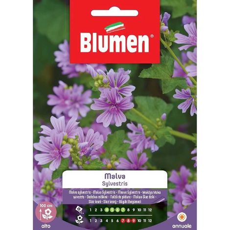 Blumen. Semi di Malva Sylvestris