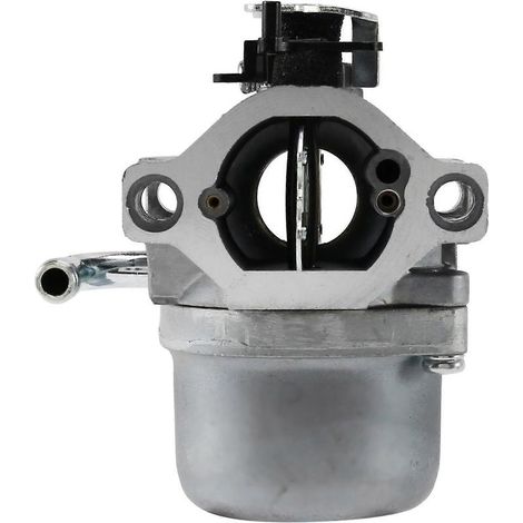 Carburateur 590399 pour moteur de tondeuse à gazon Briggs & Stratton 796077 avec joint, tuyau d'essence et filtre V (1/5)