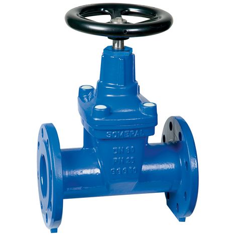 SARACINESCA CORPO OVALE- DN 65 PN 25- PLASS- pezzi 1