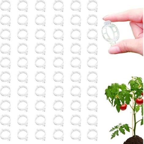 100 Stück sichere Plastikclips für Pflanzen – Zum Geradehalten von Baumstämmen, Befestigungshalterungen.
