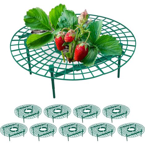 Scheibenschneider fur erdbeeren 10 stk