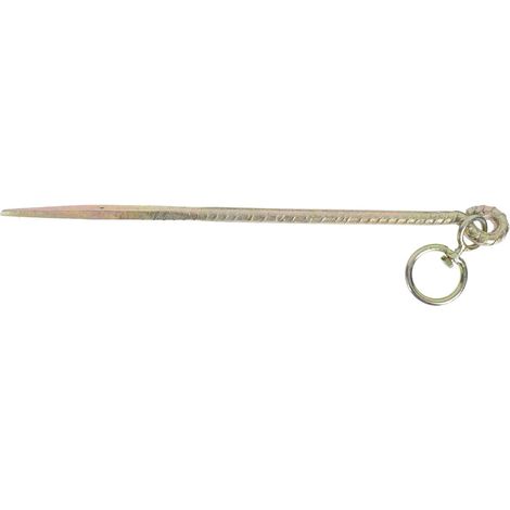 Piquet de Tente en Fer 50 CM Grosse Taille 2 Anneaux Clou de Sol pour Bétail de Ferme Piquet de Fixation pour Mouton Cheval et Chien Usage Extérieur Ferme et Solide (1/5)