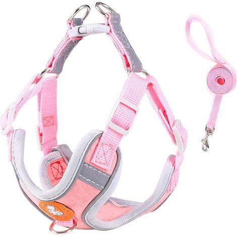 Harnais pour Chien - Harnais de Gilet réglable, Gilet Souple réfléchissant, laisses - pour Chats et Chiots, XXS-Rose,Recommandé 4-7 livres (1/5)