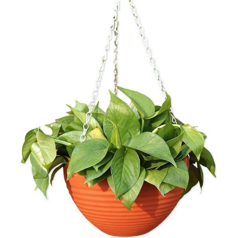 Contenitore per fiori idroponici, resina artificiale, - Cioccolato